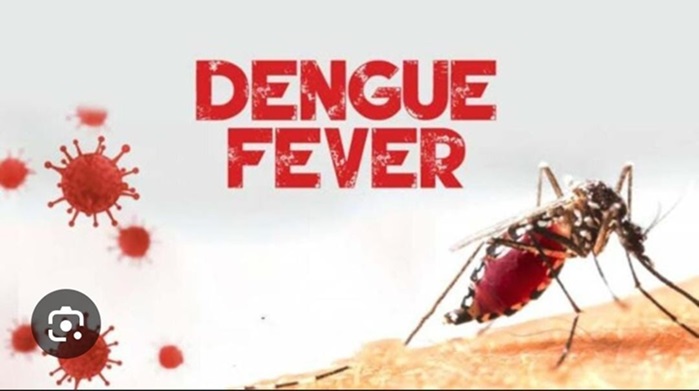  Nine Dengue cases confirmed in Ghana’s Eastern region