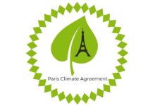 UN Tightens Carbon Credit Rules to Boost Trust in Global Climate Market
