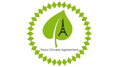 UN Tightens Carbon Credit Rules to Boost Trust in Global Climate Market