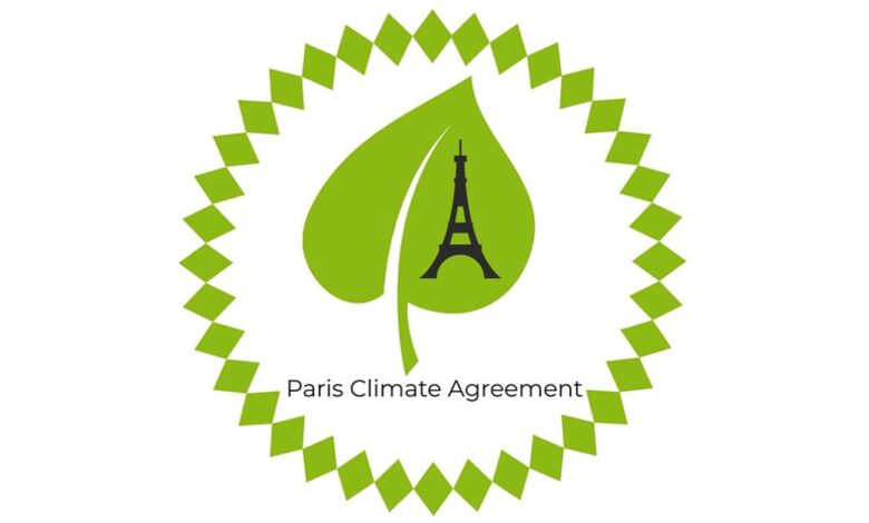 UN Tightens Carbon Credit Rules to Boost Trust in Global Climate Market