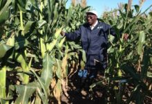 OFAB Unveils Revamped Media Awards Scheme to Boost Biotech Reporting Across Africa