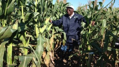 OFAB Unveils Revamped Media Awards Scheme to Boost Biotech Reporting Across Africa