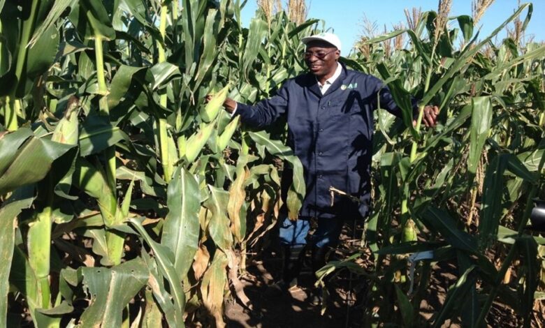 OFAB Unveils Revamped Media Awards Scheme to Boost Biotech Reporting Across Africa
