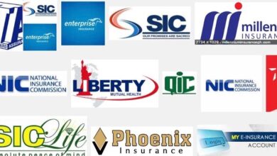Ghana’s Insurance Sector Urged to Embrace Innovation or Risk Obsolescence