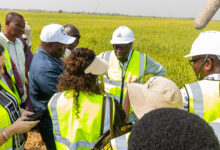 World Bank Endorses Ghana’s NEIP as Model for Agrifood Job Creation, Commits $9 Billion to Sector by 2030
