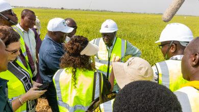 World Bank Endorses Ghana’s NEIP as Model for Agrifood Job Creation, Commits $9 Billion to Sector by 2030