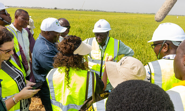 World Bank Endorses Ghana’s NEIP as Model for Agrifood Job Creation, Commits $9 Billion to Sector by 2030