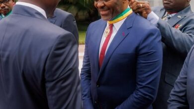 Gabonese Prez Honours Tony Elumelu for Championing African Development