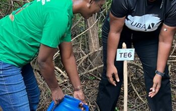 Greening Ghana Together: Why Tree Planting Must Become a National Habit