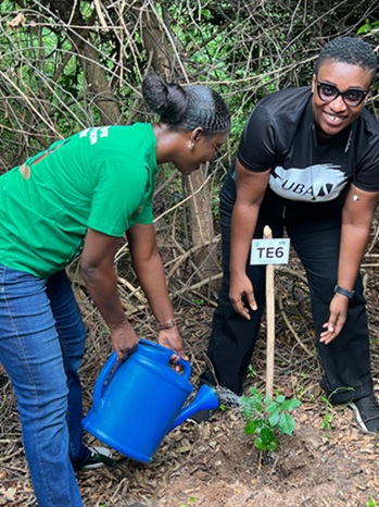 Greening Ghana Together: Why Tree Planting Must Become a National Habit