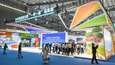 Exploring the Pulse of China-Africa Collaboration at the Vibrant China-Africa Expo