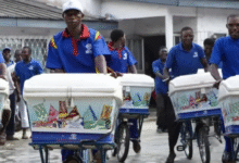 FanMilk Posts 23% Growth in 2024, Targets Cold Chain Expansion and Sustainability Milestones