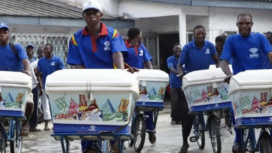 FanMilk Posts 23% Growth in 2024, Targets Cold Chain Expansion and Sustainability Milestones