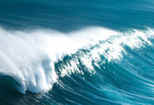 World Leaders Rally in France to Save Oceans as UN Confab Calls for Bold Action
