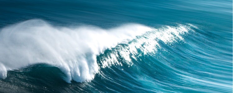 World Leaders Rally in France to Save Oceans as UN Confab Calls for Bold Action