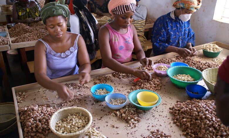 How a $6M Climate-Agriculture Project has Transformed Burkina Faso’s Cashew Sector