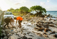 Top UN Court Opens Door for Climate Compensation Claims, Raising New Hopes for African Economies