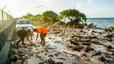 Top UN Court Opens Door for Climate Compensation Claims, Raising New Hopes for African Economies