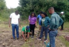 Ecobank Deepens Commitment to Sustainability with Major Reforestation Effort at Chipa Forest