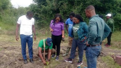 Ecobank Deepens Commitment to Sustainability with Major Reforestation Effort at Chipa Forest