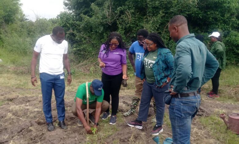 Ecobank Deepens Commitment to Sustainability with Major Reforestation Effort at Chipa Forest