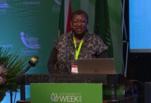 Africa Demands Real Climate Support, Not Just Promises – UN Climate Official