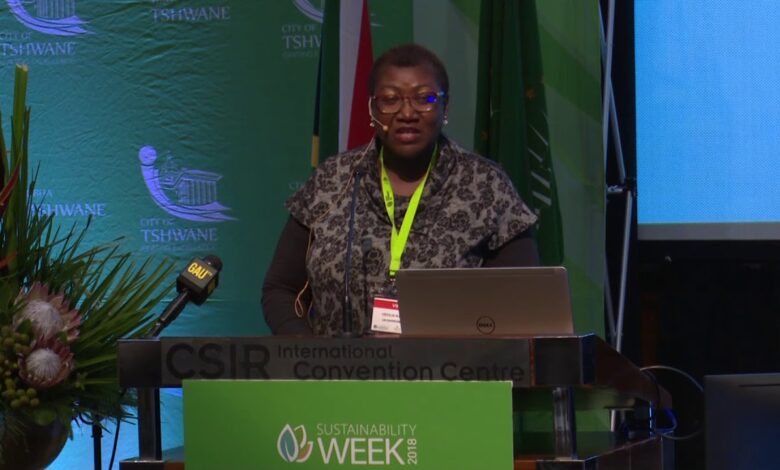 Africa Demands Real Climate Support, Not Just Promises – UN Climate Official
