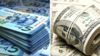 Bright Simons Warns Against “Currency Machoism” in Ghana’s Exchange Rate Management