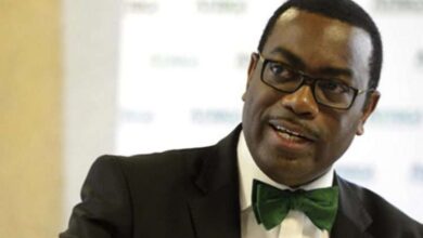 Adesina Vows to Champion Africa’s Access to Global Capital Beyond AfDB Presidency