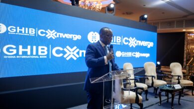 GHIB CEO Outlines Financing Strategy to Drive Africa’s Shift to Value-Added Exports
