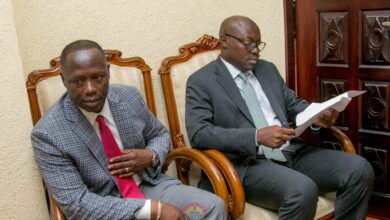 Mahama Assigns Interim Defence and Environment Ministers After Helicopter Tragedy