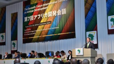 AfDB Courts Japanese Capital at TICAD9 to Drive Africa’s Growth