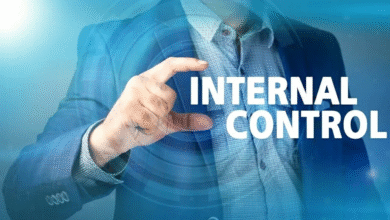 Internal Control: The Lifeline of Organizational Success