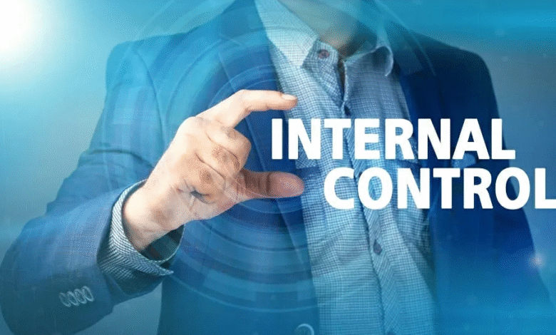 Internal Control: The Lifeline of Organizational Success
