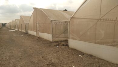 Marphlix Trust Breathes New Life into Idle Irrigation Facility, Empowers Youth in Agribusiness