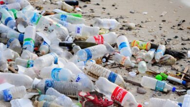 High-Stakes UN Talks Resume in Geneva to Tackle Global Plastic Pollution Crisis