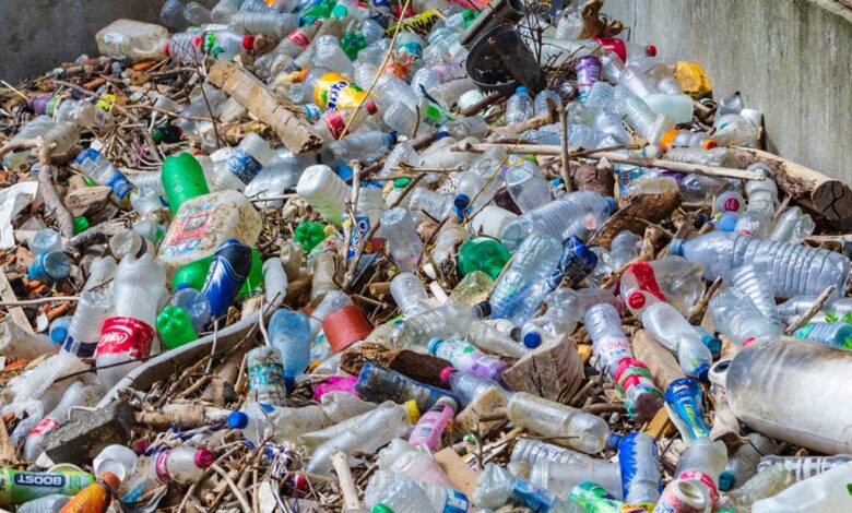 Stalemate in Geneva Threatens Progress on Global Plastic Pollution Treaty and SDG Targets