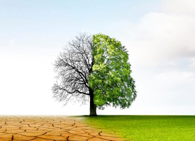World Bank Warns Against Short-Term Fixes, Calls for Systemic Approach to Environmental Policy
