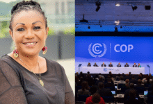 African Leaders Urged to Back Mineral Governance with Action Ahead of COP30