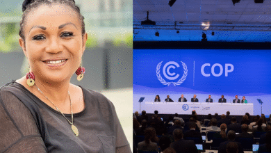 African Leaders Urged to Back Mineral Governance with Action Ahead of COP30