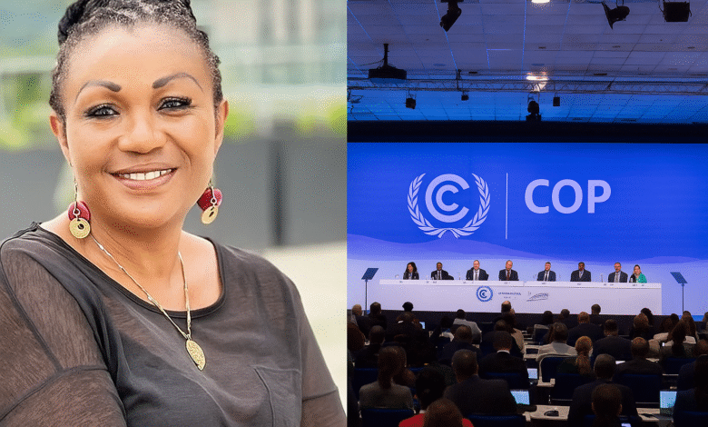African Leaders Urged to Back Mineral Governance with Action Ahead of COP30