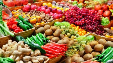 World Bank Warns Global Food System Driving Climate Crisis, Calls for Urgent Reform