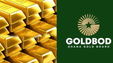 GoldBod Model Seen as Key to Boosting FX Earnings and Formalising Small-Scale Mining