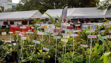 Registrar-General Urges Ghana to Scale Up Horticulture for Global Markets