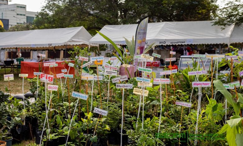 Registrar-General Urges Ghana to Scale Up Horticulture for Global Markets