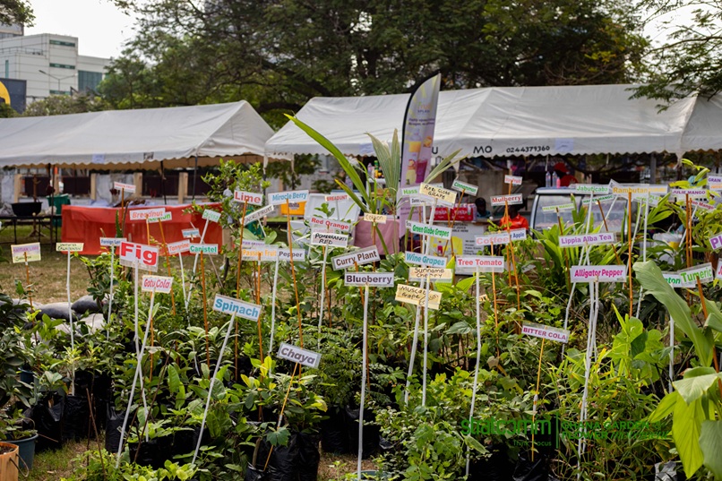 Registrar-General Urges Ghana to Scale Up Horticulture for Global Markets