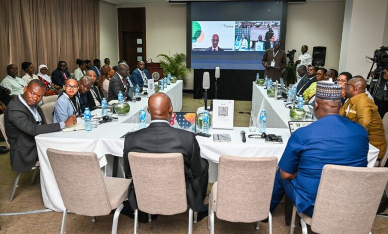 From Africa, For Africa: Building Homegrown Instant Payment Systems to Drive Financial Inclusion