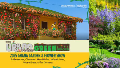 Nasheed Urges Ghana to Turn Trees into Wealth Through Carbon Credits