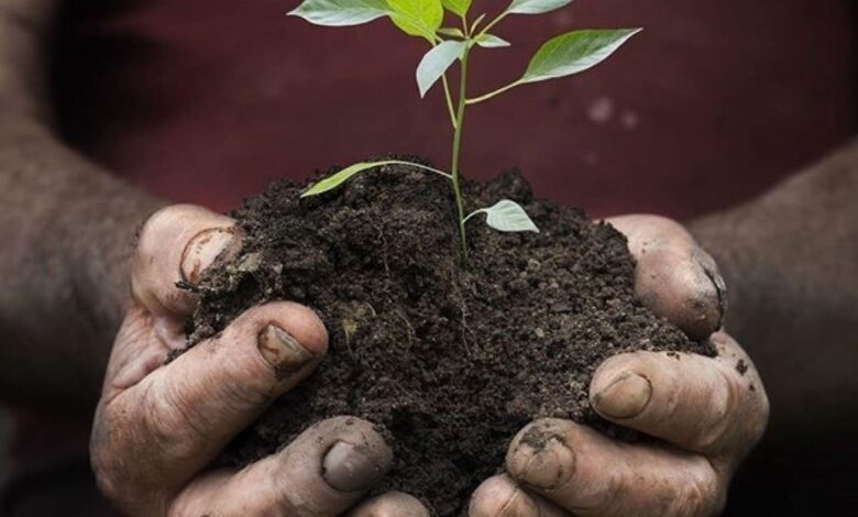The Hidden Wealth Beneath Our Feet: Unlocking Growth Through Regenerative Farming