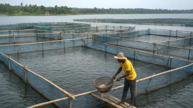 Ghana Eyes Aquaculture Growth to Cut Fish Import Bill as Industry Leaders Gather in Accra